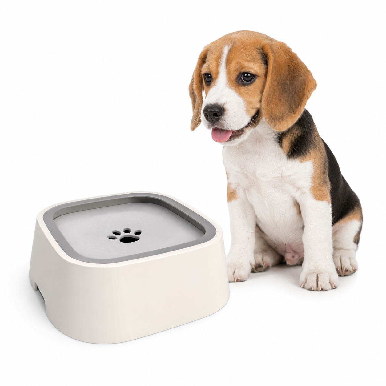 Dog Drinking Water Bowl with Floating Design - Non-Wetting, Non-Skid, Large Capacity